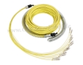 LWL Kabel / Glasfaserkabel mit 12 Fasern, 50m, SC-SC, Singlemode