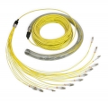 LWL Kabel / Glasfaserkabel mit 24 Fasern,  LC-LC, Singlemode, 50m
